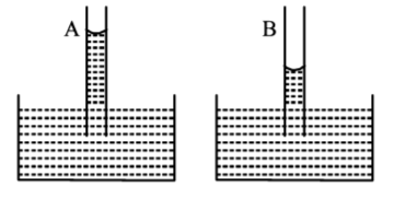 Mechanical Properties of Solids and Fluids mcq option image